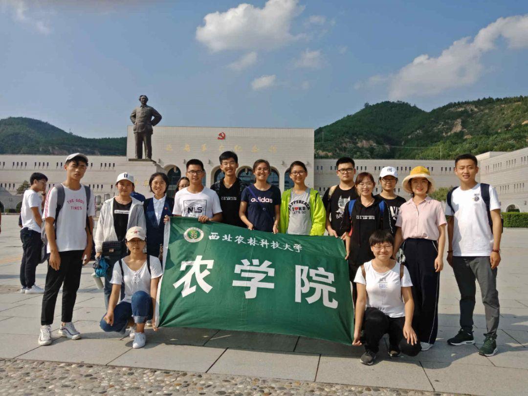 封闭式冷却塔的原理是什么？游戏画面